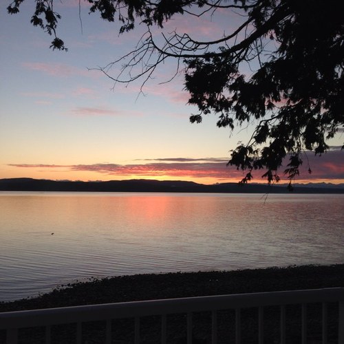 TVerdiel's profile picture. 