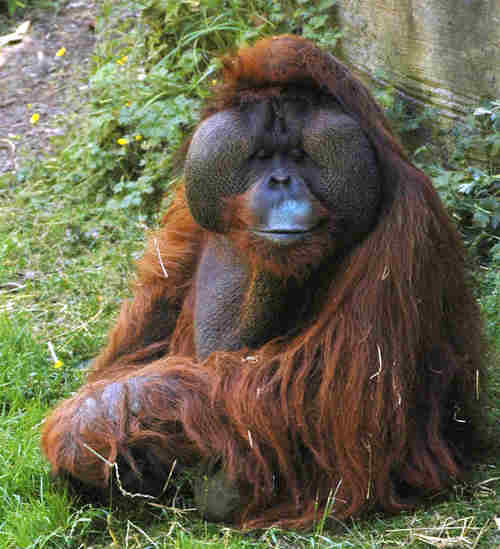 EnciniMarco's profile picture. 