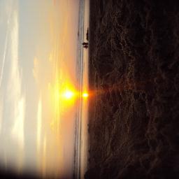 steve_esmart's profile picture. 