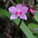 Jenny Yap - @jennyyapkc - Twitter