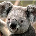 michaelrampone - @michael_rampone - Twitter