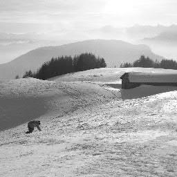 Scrittore fantasy, compositore colonne sonore per videogame, insegnante di chitarra e snowboarder freeride. Forse un giorno comincerò a lavorare seriamente....