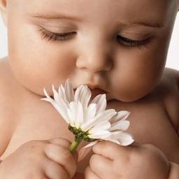 JoseFajardo2012's profile picture. 