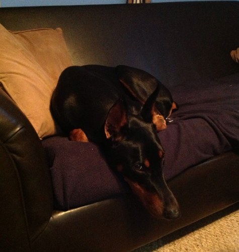 ccottrell30's profile picture. 