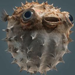 robotface10101's profile picture. 