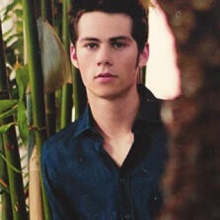 What the hell is a stiles? ∞ {Melissa Ponzio, Stephen Lunsfuhd and Max Carver follow.}