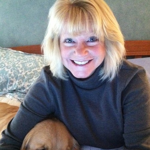 LakeMichBeach's profile picture. 