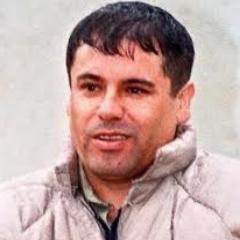 Hi guys I'm a rich billionaire Mexican entrepreneur, I sell oregano and fine powdered Colombian sugar. I'am not wanted by the FBI.