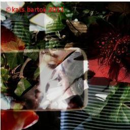 KatsBartok's profile picture. http://t.co/jTNHeOl3
plasticienne peintre et vidéaste kats bartok /Label jarring effect/ et prod indépendentes..