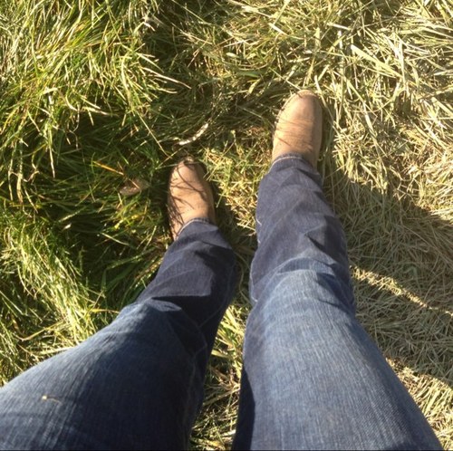 southern_select's profile picture. 