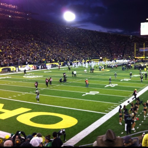 TheDuckforPres's profile picture. 