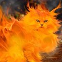 erik briones - @briones_er - Twitter