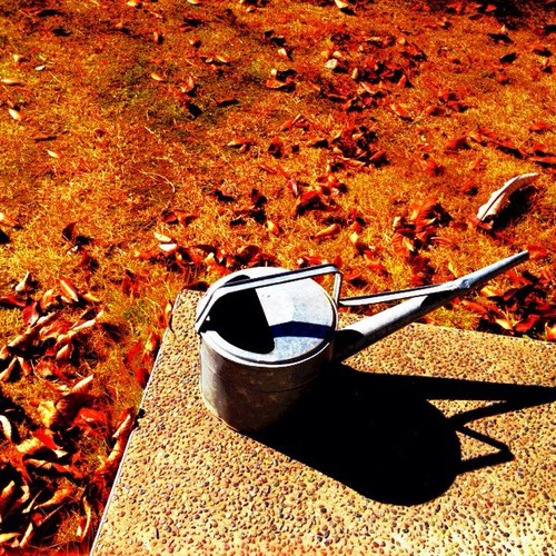 しりきのこ はみ出す顔文字作りたくてunicodeのアプリ取ったけど 元々自分で顔文字作るの下手だから難易度高い