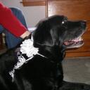 Tom Everett - @teachtomev - Twitter