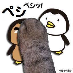 猫（手）なので毎日ゴロゴロしてます。アフィリとかをポテポテやってます。