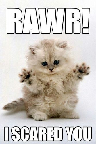 cupcakes_r_smal's profile picture. 