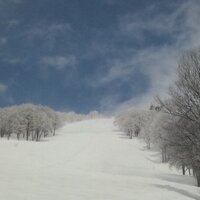 tamazou46 (@tamazou46) Twitter profile photo