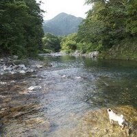 Itaga (@itaga) 's Twitter Profile