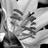 bridgethalford's profile image