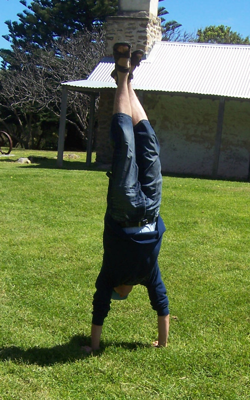 carpediemkiter's profile picture. share market investor and now a crypto convert. .com x 100!! and for the people