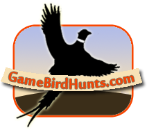 Pheasant Hunting Information and Community