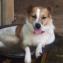 Maggie Mack - @MaggieMack11 - Twitter