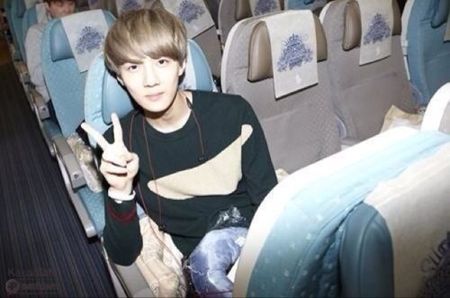 derpmaknae Profile Picture