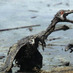 Oil Spill Response (@oil_spill) Twitter profile photo
