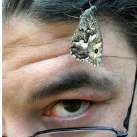 juan fco. camacho (@jfcocamacho) 's Twitter Profile Photo