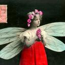 CrystalHilliard - @CrystalHilliard - Twitter