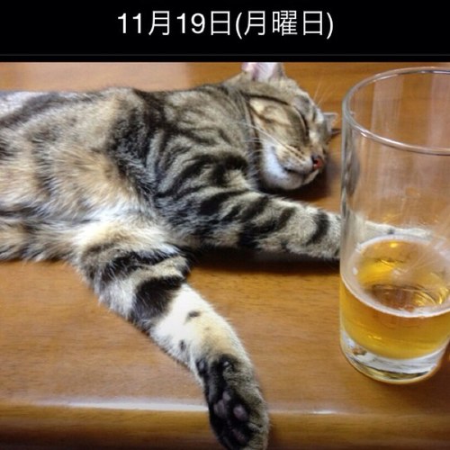 京都市内で賃貸マンションの管理会社を運営しております。TEL075-748-0120FAX075-748-0130