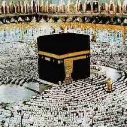 todo sobre el islam en la lengua espanola:noble coran,lecciones,jutbas de la oracion del  viernes ...http://t.co/eMUNC69C
