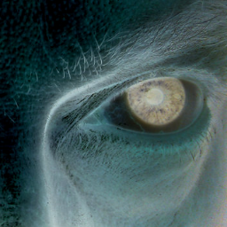 blong_blong's profile picture. 