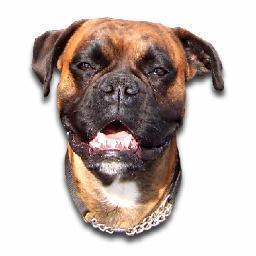 We are a family run company focused on providing the best pet products available. As we feel every pet deserves the best. http://t.co/YgzYxqgs