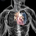 Andrew Shevchenko  - @sheva_sai96 - Twitter