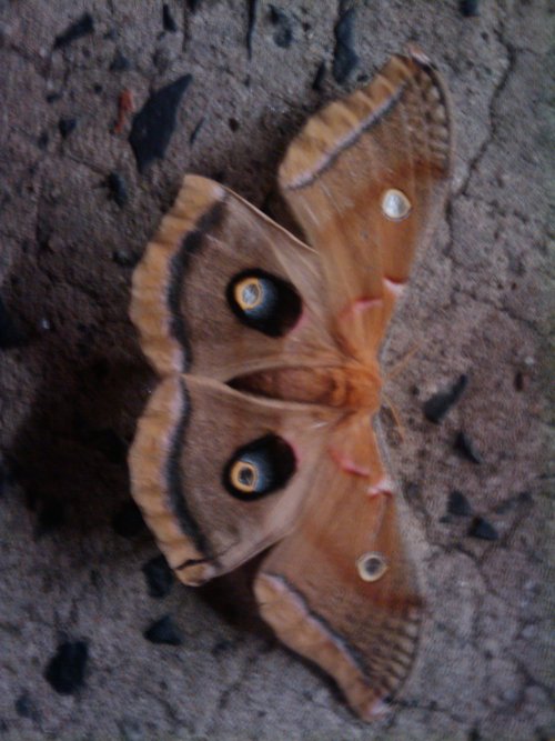 randall3539's profile picture. I'm a 5'6 redhead with blue eyes.