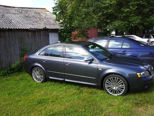 PeterGelderblo1's profile picture. 