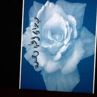 نبع الوفا (@dr20201) 's Twitter Profile