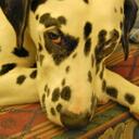 Dave Stacey - @dastacey - Twitter