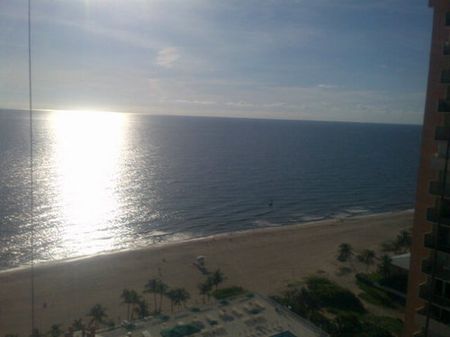 shakycd's profile picture. ✌️