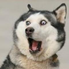 JUST_BT's profile picture. 