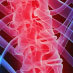 Many choices of back pain relief from medications, herbal remedies, therapies, massages, exercises to pain management programs.