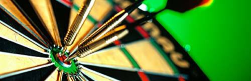 Darts enthusiast that likes to have a cheeky bet every now and then. Follow and lets have some fun. Hopefully make some cash!