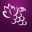 videiraemcuiaba's profile image