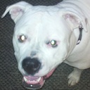 Seth Bower - @todd1414 - Twitter