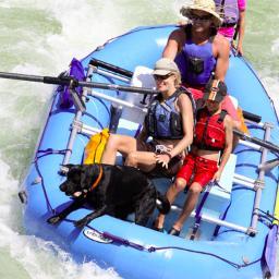 LeoAssoc's profile picture. 