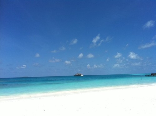 IsmailAfeef's profile picture. 