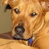 Malfunctions (@malfunctions272) 's Twitter Profile