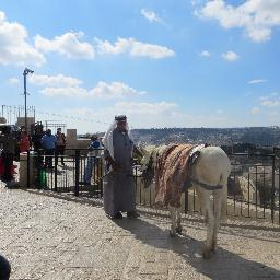 jondschreiber's profile picture. Small business owner, suffering Wizards and Redskins fan, and also a political junkie.