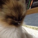 Michael Mildner Jr. - @SCOOTER28712 - Twitter